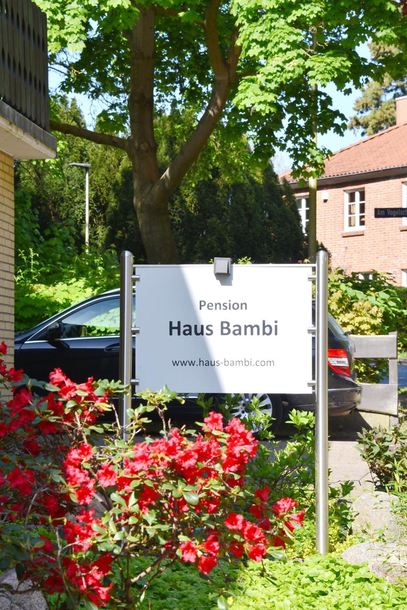 Pension Haus Bambi Molln Exterior photo
